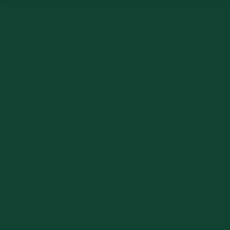 Green | RAL 6005 MAT