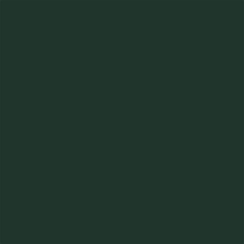 Fir Green | RAL 6009