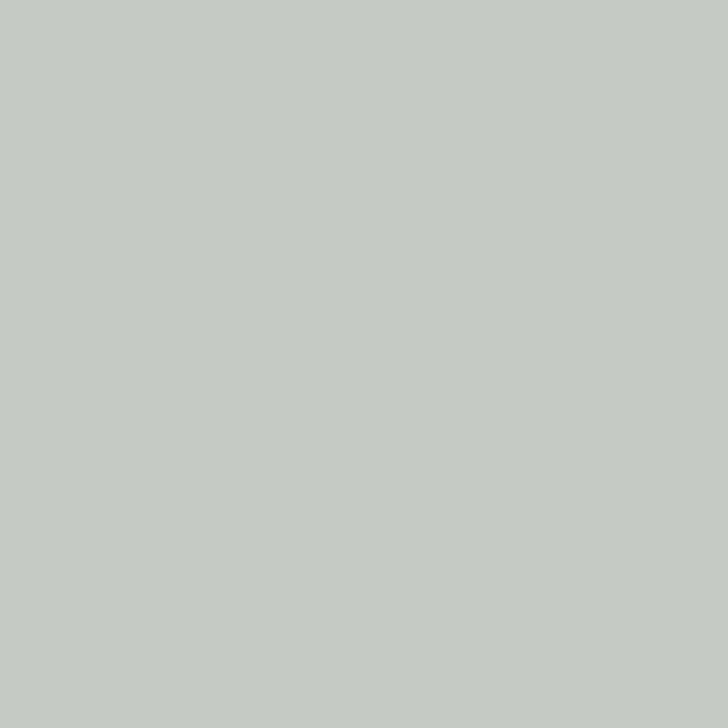Light Grey | RAL 7035