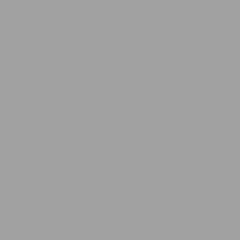 Aluminium White | RAL 9006
