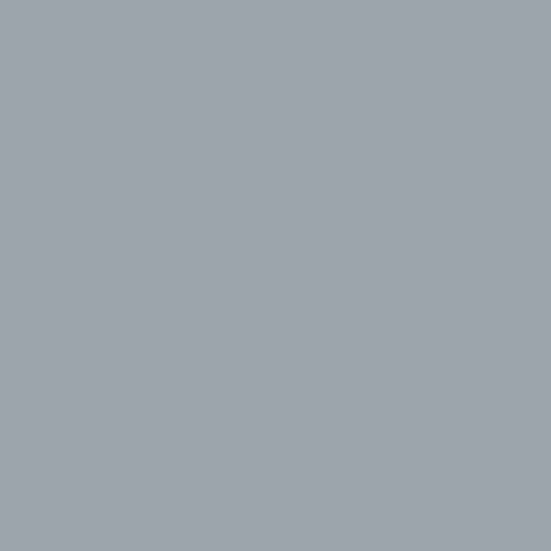 Light Grey | RAL 7040