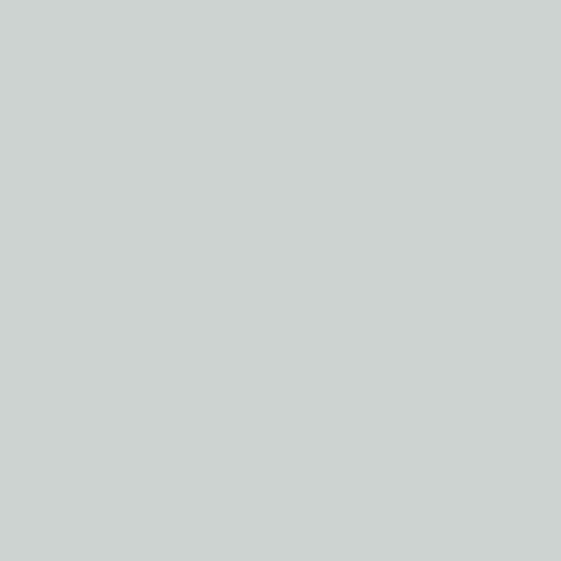 Light Grey | RAL 7035
