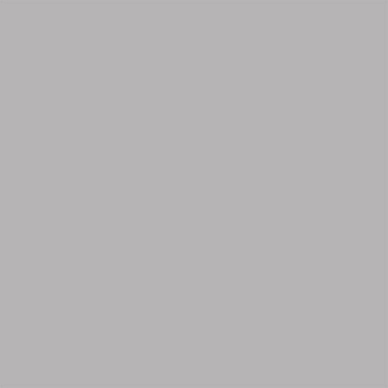 Silver | RAL 9006